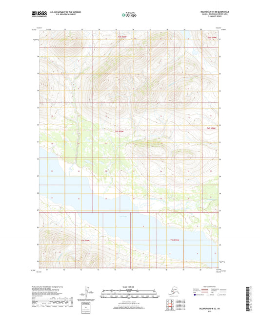 Dillingham D-8 SE Alaska US Topo Map Image