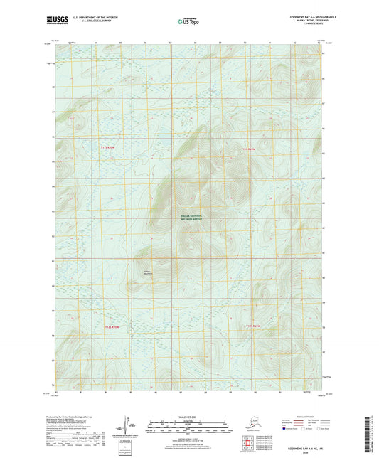 Goodnews Bay A-6 NE Alaska US Topo Map Image