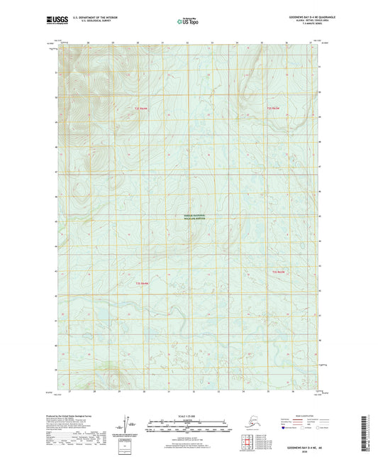 Goodnews Bay D-4 NE Alaska US Topo Map Image