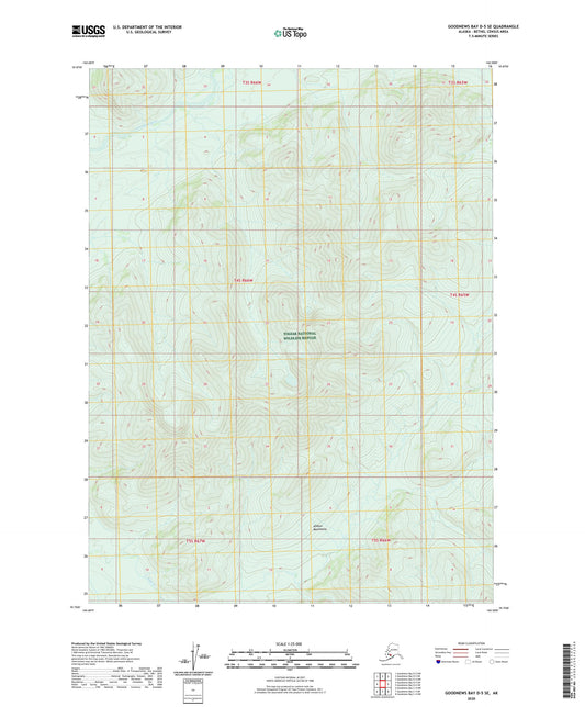 Goodnews Bay D-5 SE Alaska US Topo Map Image