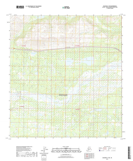 Gulkana C-1 NE Alaska US Topo Map Image
