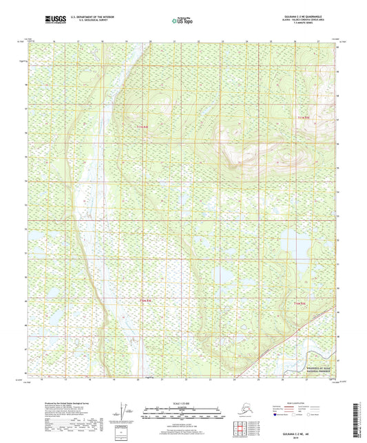 Gulkana C-2 NE Alaska US Topo Map Image