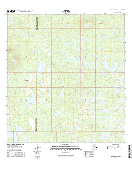 Gulkana C-5 SW Alaska US Topo Map Image