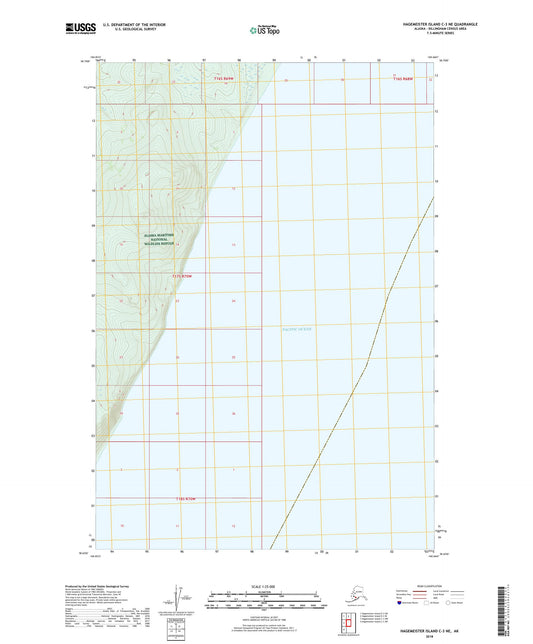 Hagemeister Island C-3 NE Alaska US Topo Map Image