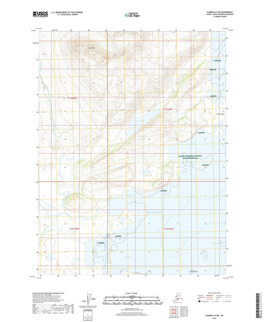 Iliamna A-4 NE Alaska US Topo Map Image