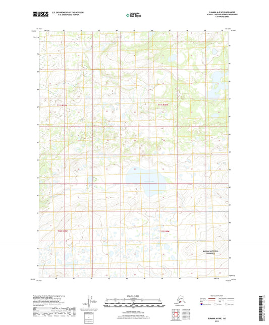 Iliamna A-8 NE Alaska US Topo Map Image