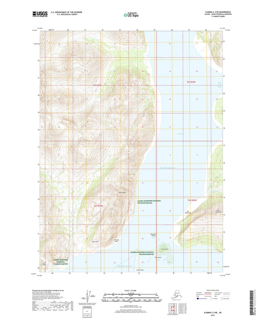 Iliamna C-2 NE Alaska US Topo Map Image