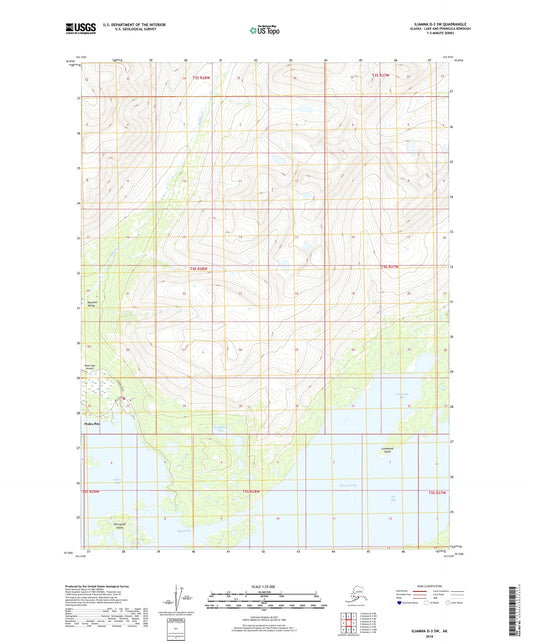 Iliamna D-3 SW Alaska US Topo Map Image