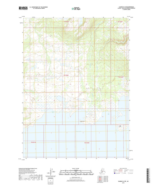 Iliamna D-4 SW Alaska US Topo Map Image