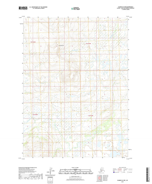 Iliamna D-6 NW Alaska US Topo Map Image