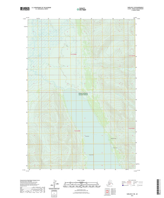 Karluk B-1 NE Alaska US Topo Map Image