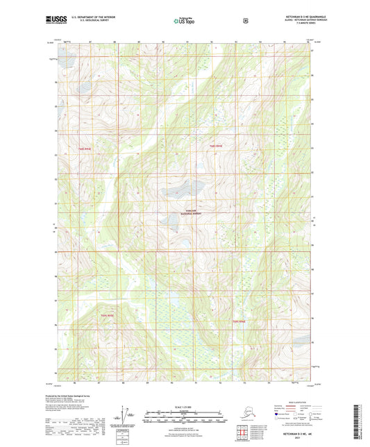 Ketchikan D-3 NE Alaska US Topo Map Image