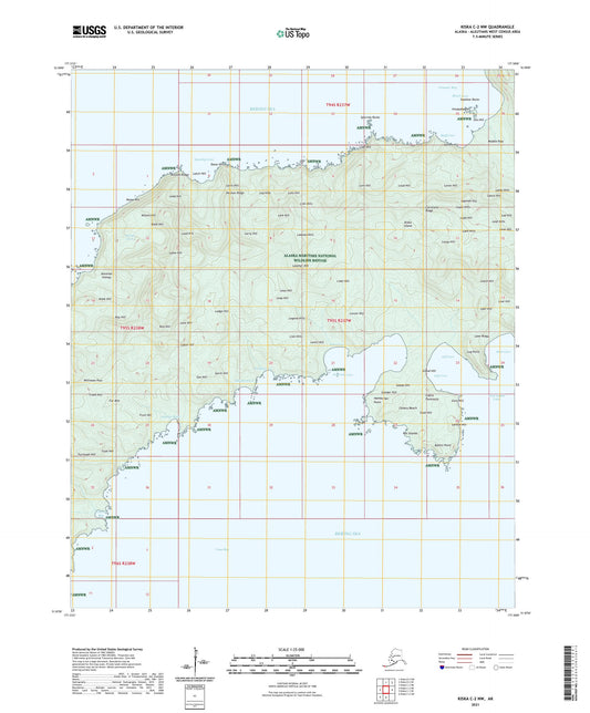 Kiska C-2 NW Alaska US Topo Map Image