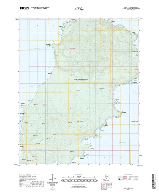 Kiska D-2 SE Alaska US Topo Map Image