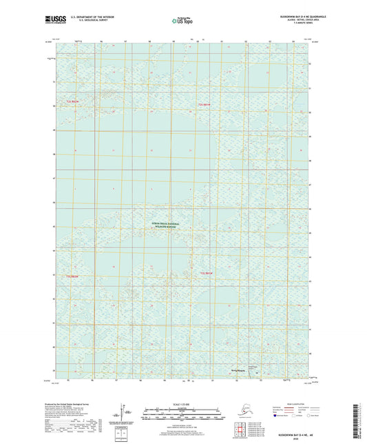 Kuskokwim Bay D-4 NE Alaska US Topo Map Image
