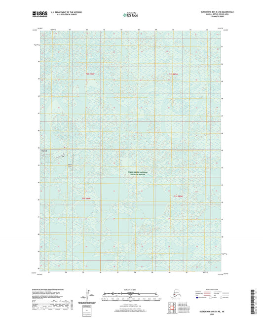 Kuskokwim Bay D-6 NE Alaska US Topo Map Image