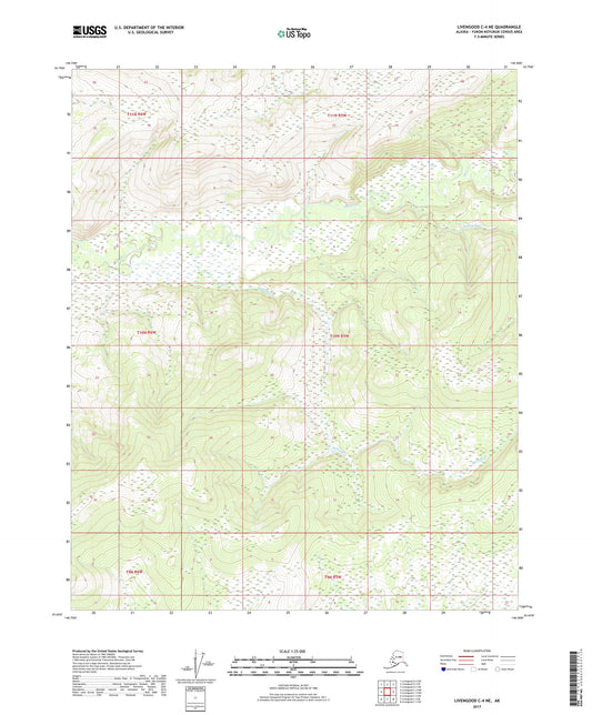 Livengood C-4 NE Alaska US Topo Map Image