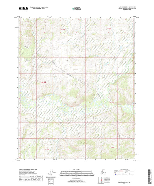 Livengood C-5 NE Alaska US Topo Map Image
