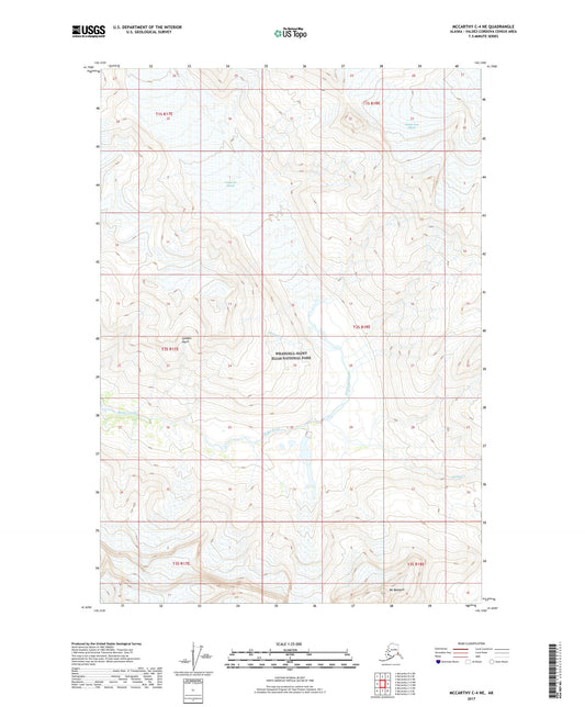 McCarthy C-4 NE Alaska US Topo Map Image