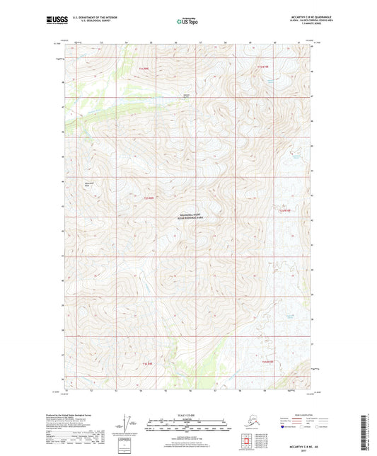 McCarthy C-8 NE Alaska US Topo Map Image