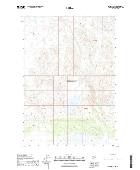 McCarthy D-2 SW Alaska US Topo Map Image