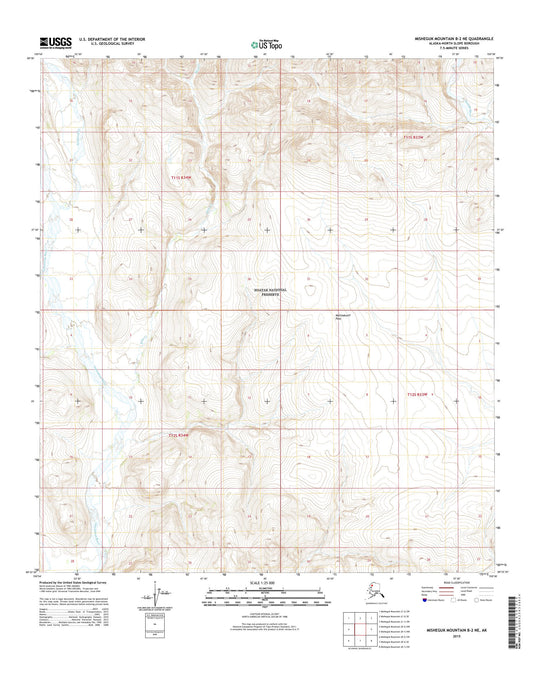 Misheguk Mountain B-2 NE Alaska US Topo Map Image