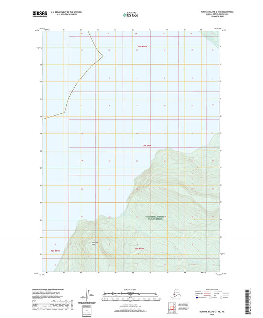 Nunivak Island C-1 NE Alaska US Topo Map Image
