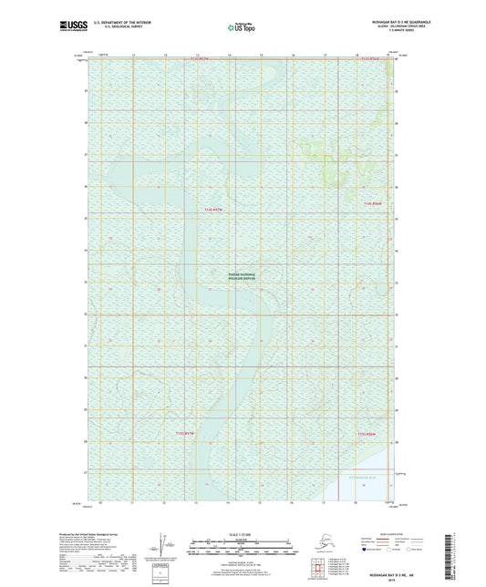 Nushagak Bay D-3 NE Alaska US Topo Map Image