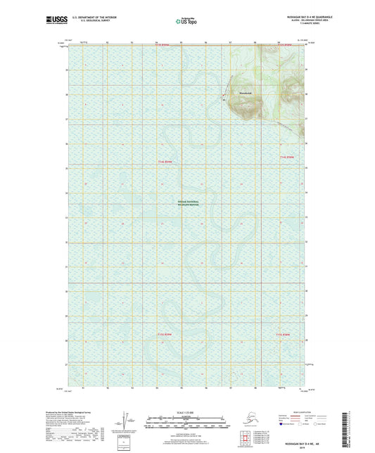 Nushagak Bay D-4 NE Alaska US Topo Map Image