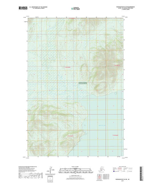 Nushagak Bay D-6 NE Alaska US Topo Map Image