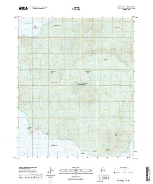 Rat Islands C-2 NE Alaska US Topo Map Image