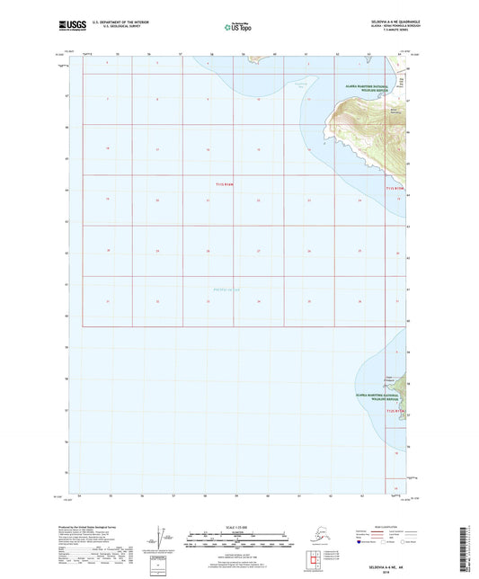 Seldovia A-6 NE Alaska US Topo Map Image