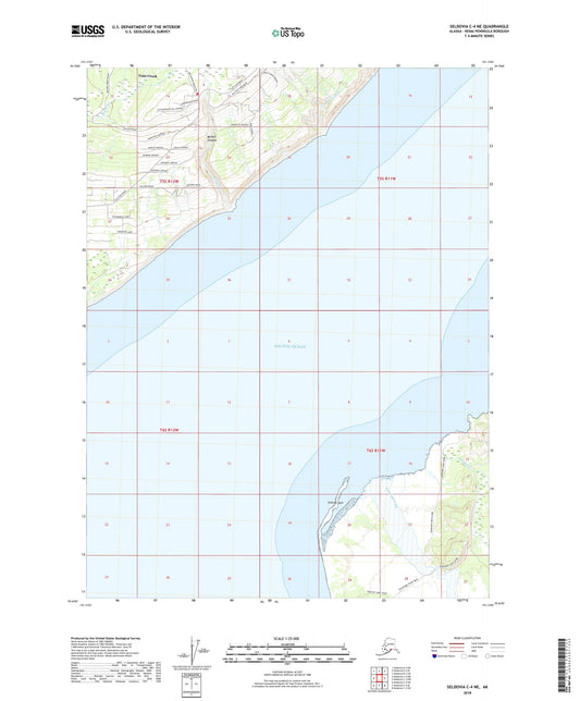 Seldovia C-4 NE Alaska US Topo Map Image