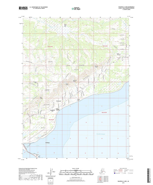 Seldovia C-4 NW Alaska US Topo Map Image