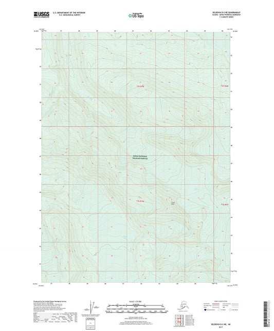 Seldovia D-2 NE Alaska US Topo Map Image