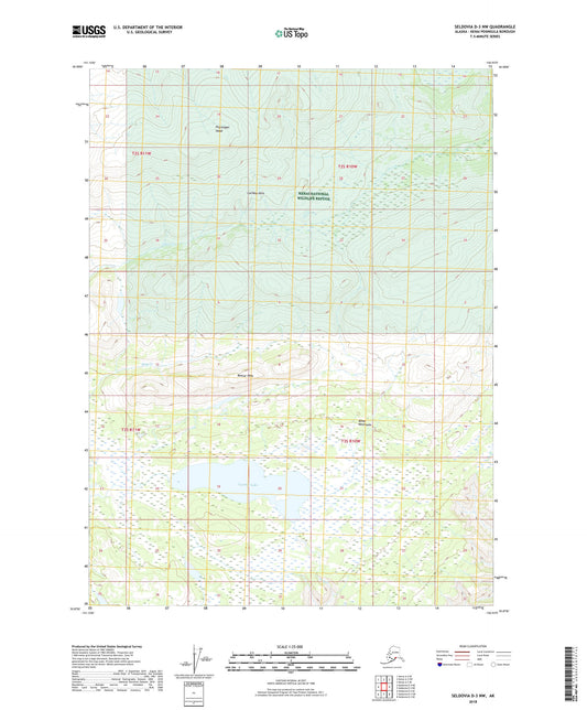 Seldovia D-3 NW Alaska US Topo Map Image