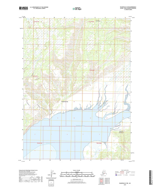 Seldovia D-3 SW Alaska US Topo Map Image