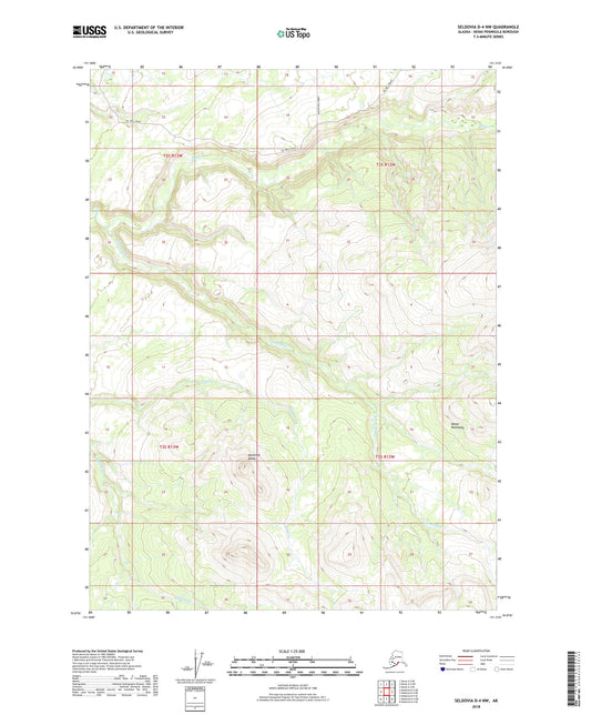 Seldovia D-4 NW Alaska US Topo Map Image