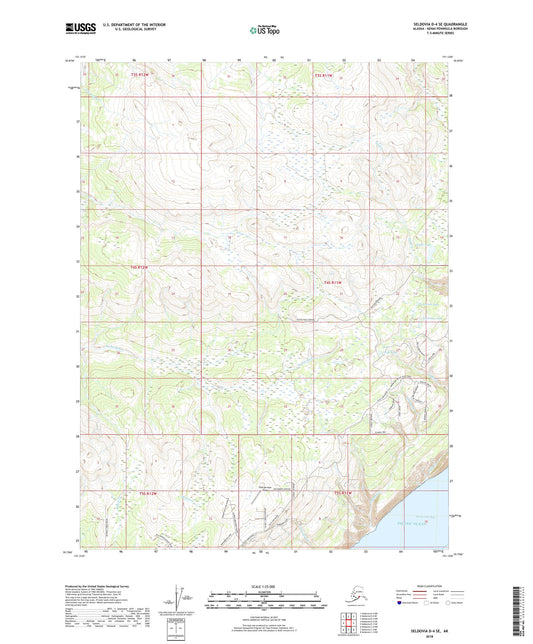Seldovia D-4 SE Alaska US Topo Map Image