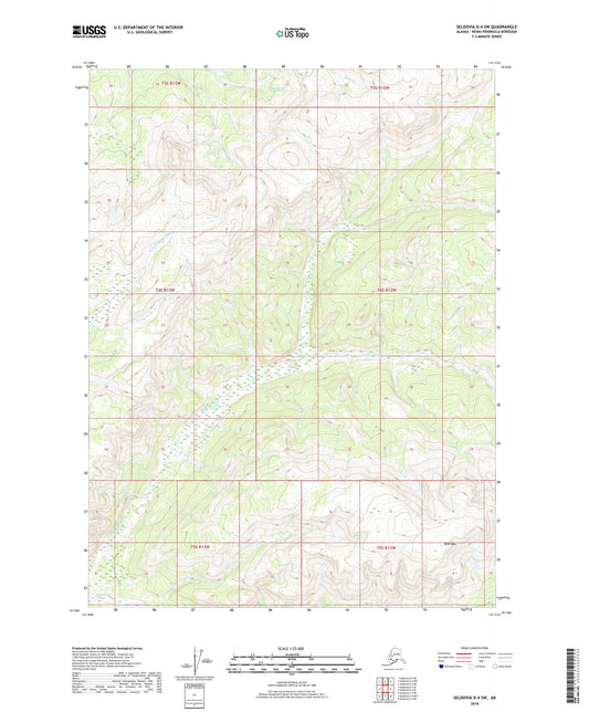 Seldovia D-4 SW Alaska US Topo Map Image