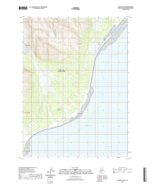 Seldovia D-8 NE Alaska US Topo Map Image