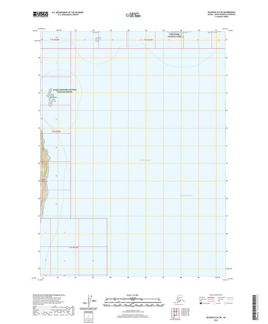 Seldovia D-8 SW Alaska US Topo Map Image