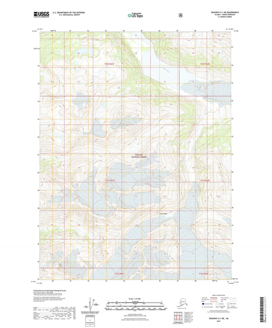 Skagway A-1 NE Alaska US Topo Map Image