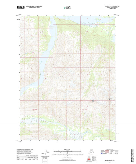 Skagway B-3 SW Alaska US Topo Map Image