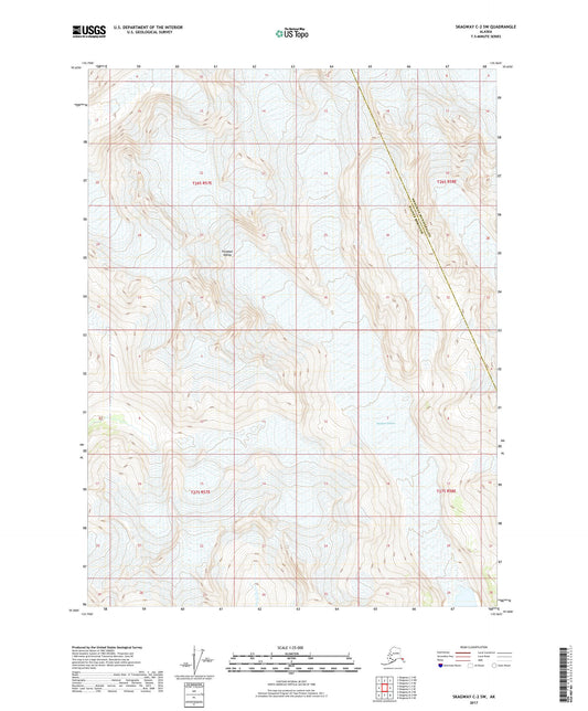 Skagway C-2 SW Alaska US Topo Map Image