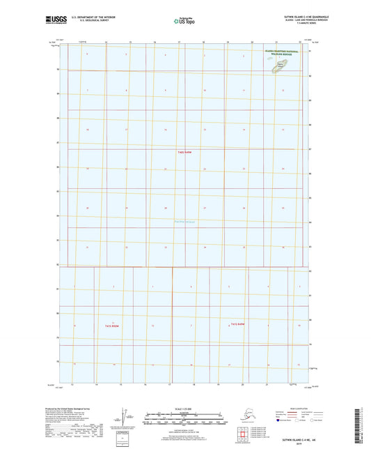 Sutwik Island C-4 NE Alaska US Topo Map Image