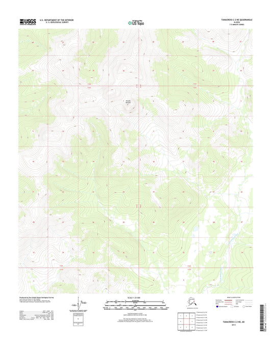 Tanacross C-2 NE Alaska US Topo Map Image