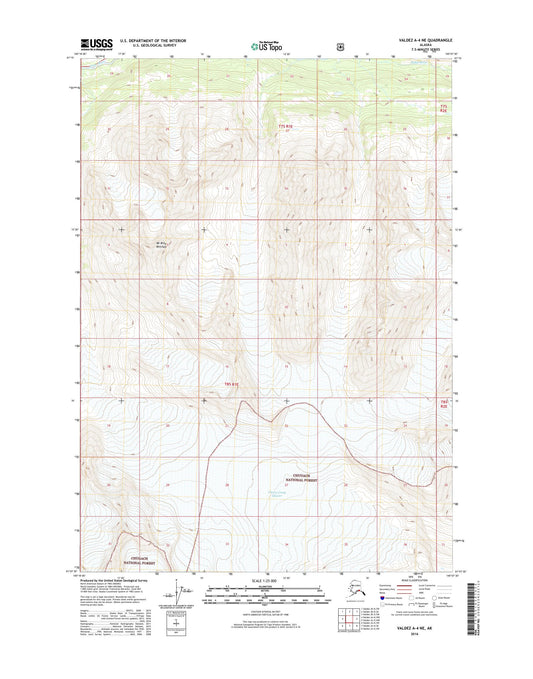 Valdez A-4 NE Alaska US Topo Map Image