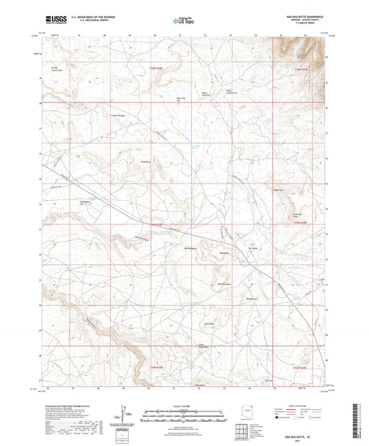 Bad Bug Butte Arizona US Topo Map Image