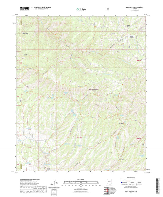 Baldy Bill Point Arizona US Topo Map Image